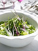 Grüner Salat mit roten Zwiebeln