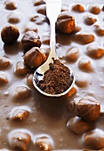 Nut chocolate and cocoa powder in a teaspoon