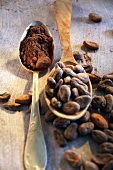 Still life with roasted cocoa beans and cocoa in spoon