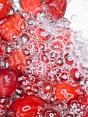 Cranberries under water