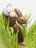 Chocolate Easter Bunny in grass