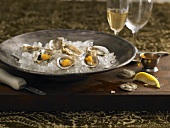 Oysters with caviar on ice