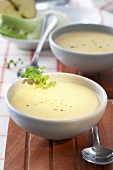 Two bowls of fennel soup
