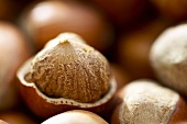 Hazelnuts, one cracked open (close-up)