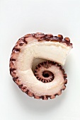 A piece of cooked octopus