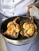 Poussins with rosemary in a frying pan