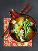 Tofu-Gemüse-Suppe