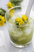 Iced green tea with oilseed rape flower