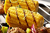 Grilled corn on the cob (close-up)