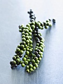 Clusters of green peppercorns