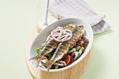 Grilled herring with radicchio and bean salad