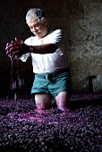 Man treading grapes in the traditional way