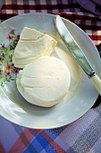 Bulgarian soft cheese on plate with knife