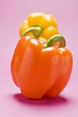 Peppers on purple background