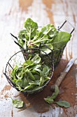 Fresh spinach in wire baskets