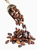 Cocoa beans falling out of small scoop