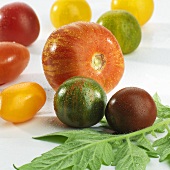 Various types of tomatoes with drops of water