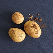 Early potatoes from Cyprus