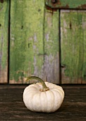 White pumpkin (variety: Baby Boo)