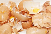 Broken eggshells