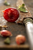 Morello cherry beside rusty knife
