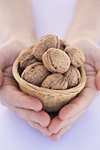 Hands holding a basket of walnuts