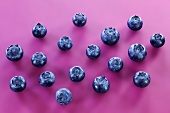 Individual blueberries on a purple background