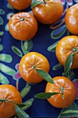 Mandarin oranges