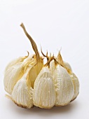 Roasted garlic bulb