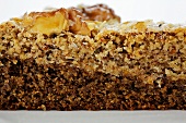 Piece of nut cake (close-up)