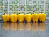 Six yellow peppers on stainless steel worktop