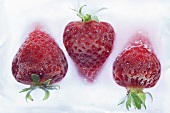 In einem Eisblock gefrorene Erdbeeren
