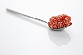 Mince on a spoon