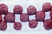 Raspberries frozen in a block of ice