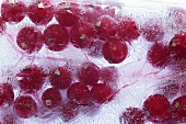 Redcurrants frozen in a block of ice (close-up)