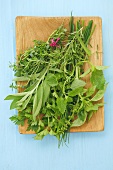 Various fresh herbs on a wooden board