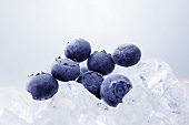 Blueberries on ice cubes