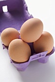 Vier Eier im Eierkarton