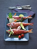Fried red mullet with vegetables