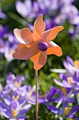 Toy windmill with crocuses