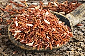 Whole-grain red rice (Oryza sativa) on wooden spoon