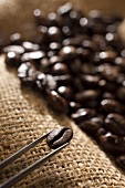 Roasted Arabica coffee beans