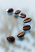 Seven roasted Arabica coffee beans on a glass slab