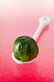 Cooked Brussels sprout on a porcelain spoon