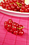 Redcurrants on tea towel and plate