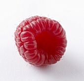 A raspberry (close-up)