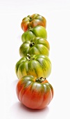 Tomatenreihe (alte Sorten)