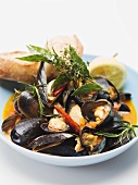 Zuppa di cozze (Mussels in wine broth, Italy)