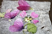 Pressed, dried hollyhock flowers on paper