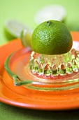 Lime on a lemon squeezer